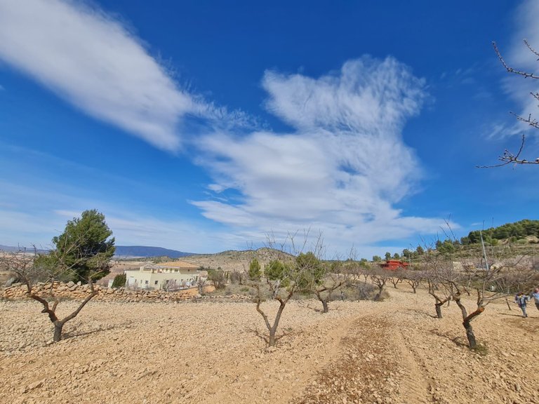 Plot for Sale in Pinoso, Alicante 9