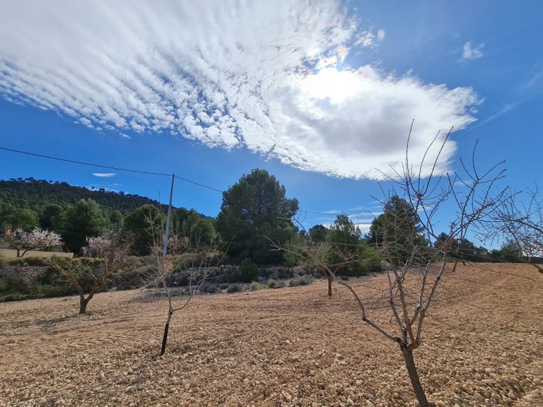 Plot for Sale in Pinoso, Alicante 8