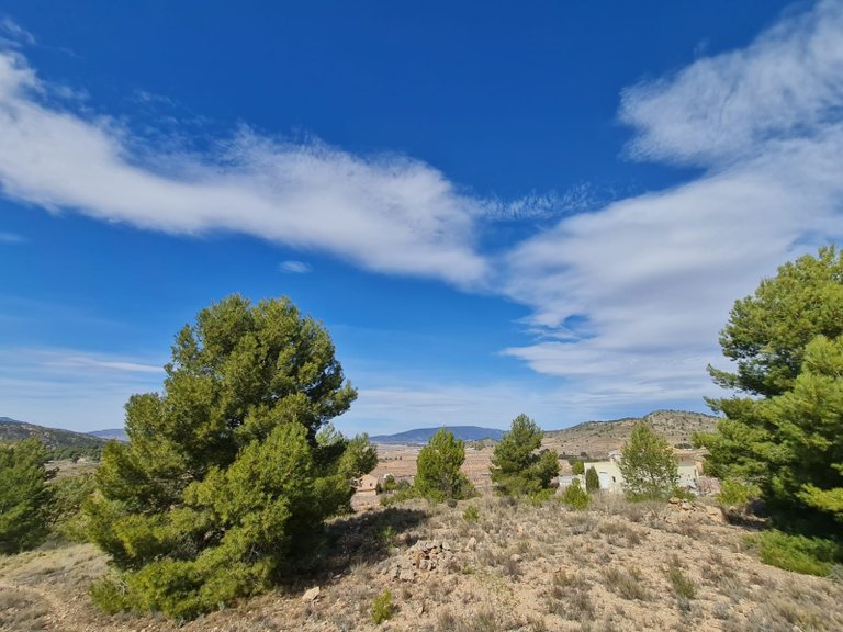 Plot for Sale in Pinoso, Alicante 6