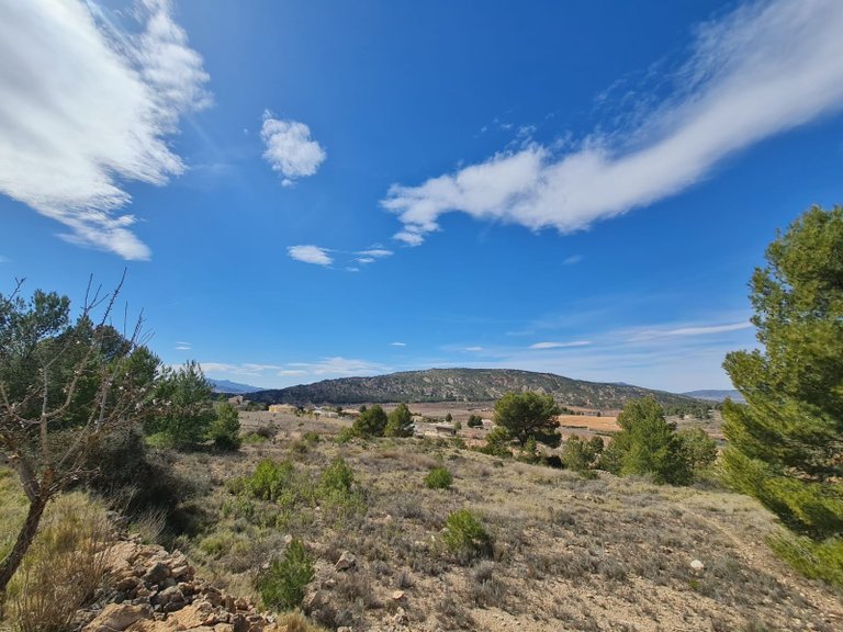 Plot for Sale in Pinoso, Alicante 5