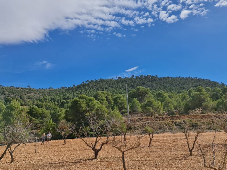 Plot for Sale in Pinoso, Alicante 1