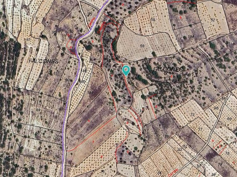Plot for Sale in Monovar, Alicante 2
