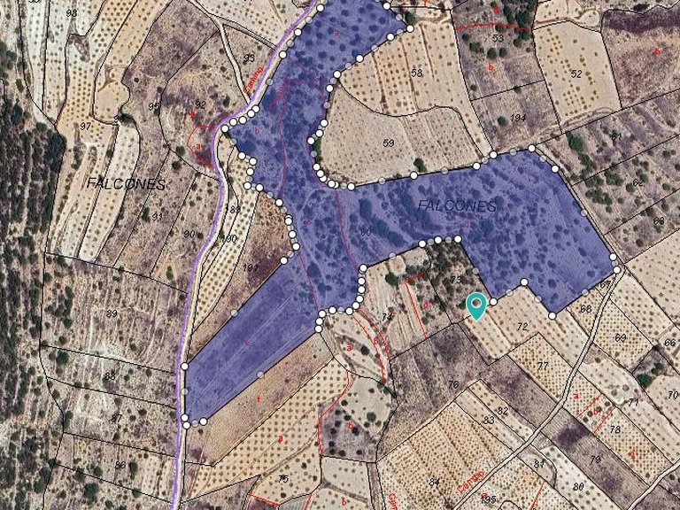 Plot for Sale in Monovar, Alicante 1