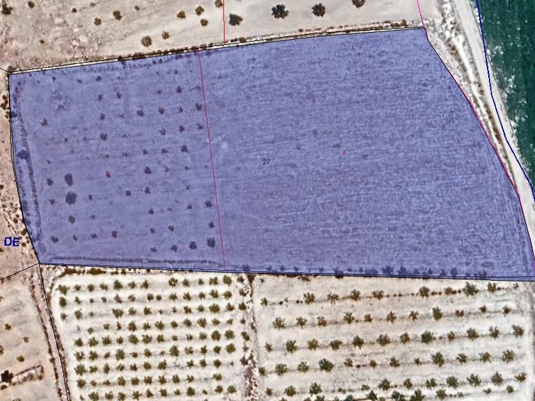 Plot for Sale in Pinoso, Alicante 1
