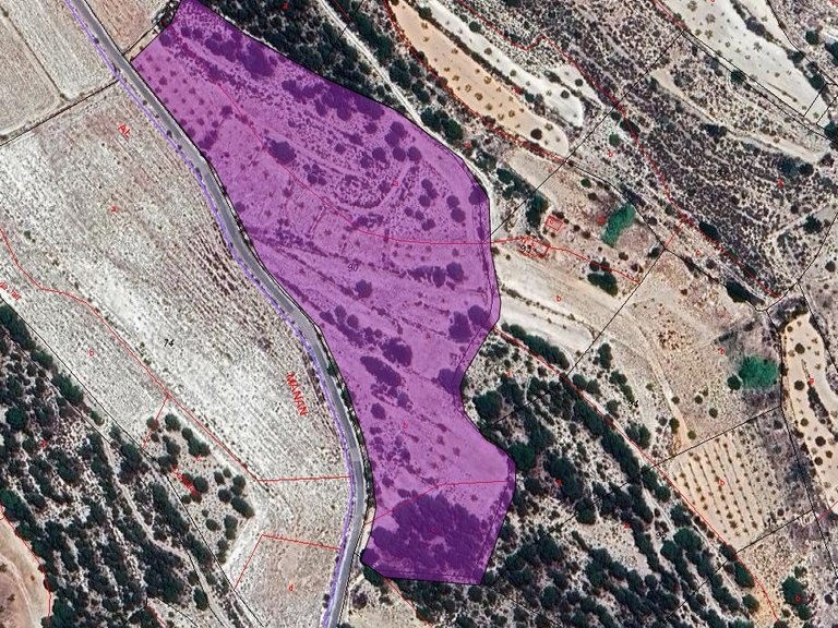 Plot for Sale in Monovar, Alicante 1