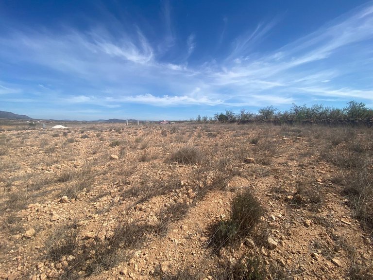 Plot for Sale in Pinoso, Alicante 12