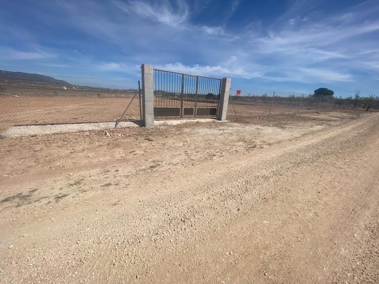 Plot for Sale in Pinoso, Alicante 6