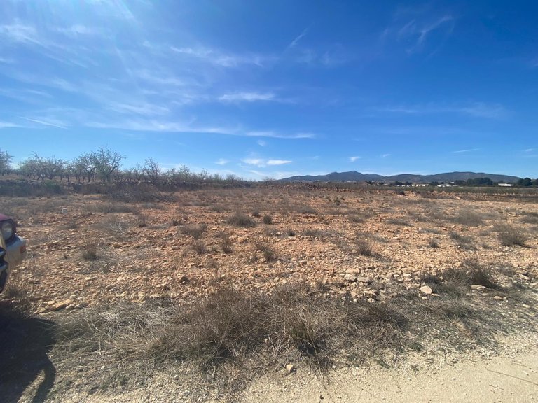Plot for Sale in Pinoso, Alicante 7