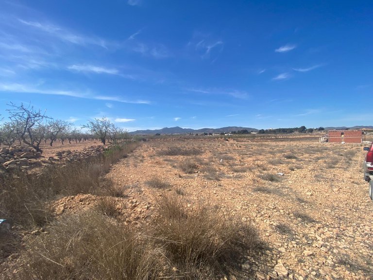 Plot for Sale in Pinoso, Alicante 8
