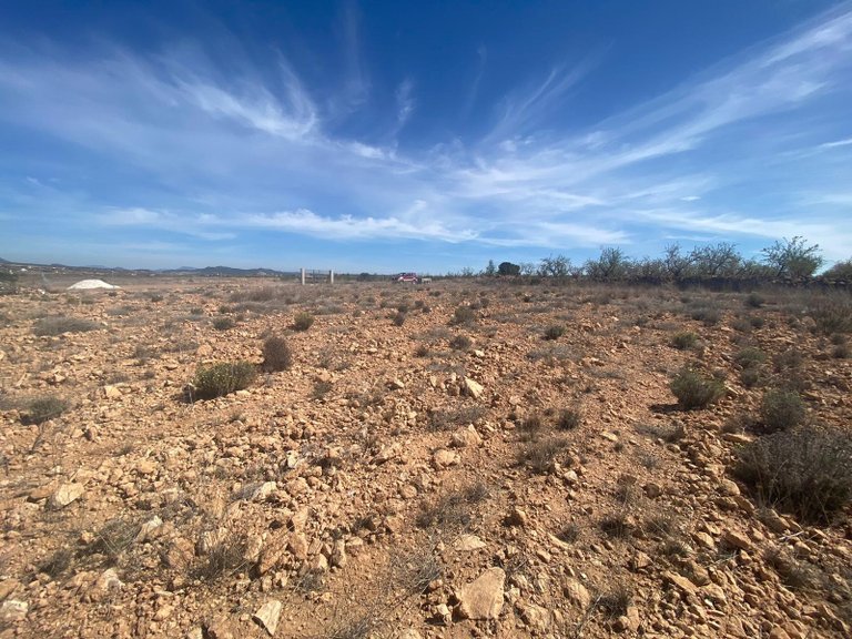 Plot for Sale in Pinoso, Alicante 11