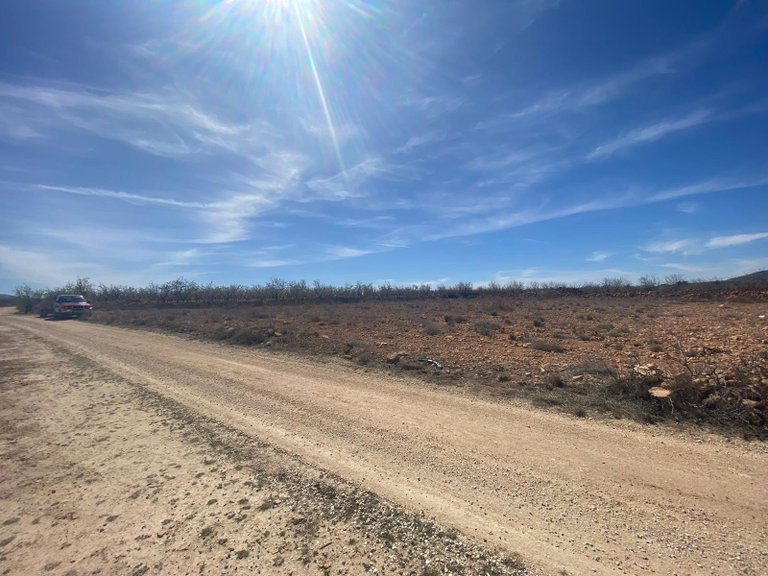 Plot for Sale in Pinoso, Alicante 2