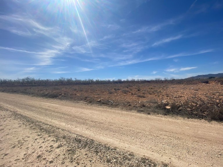 Plot for Sale in Pinoso, Alicante 3