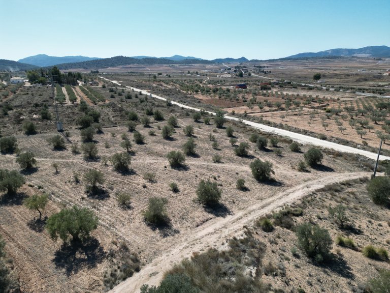Plot for Sale in Pinoso, Alicante 1