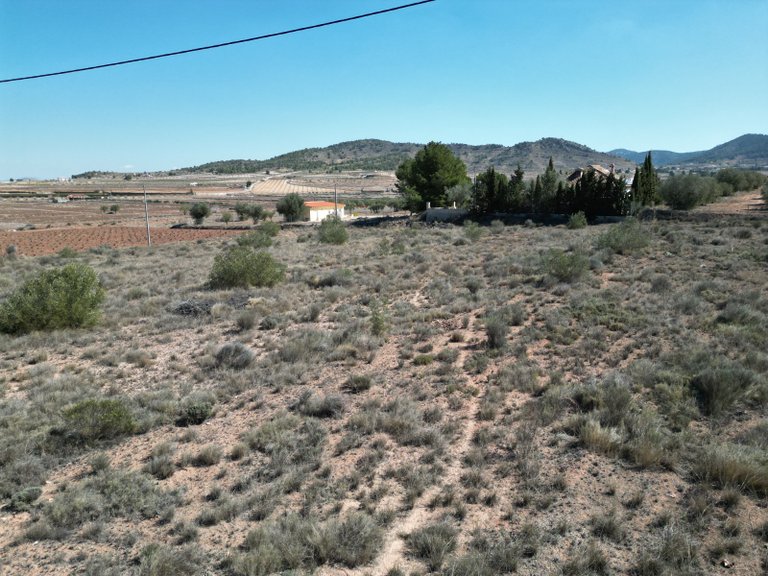 Plot for Sale in Pinoso, Alicante 2