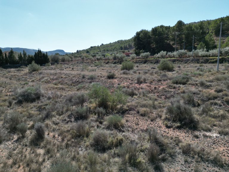 Plot for Sale in Pinoso, Alicante 3