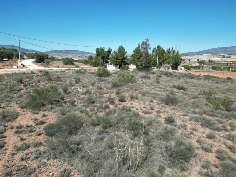 Plot for Sale in Pinoso, Alicante 1