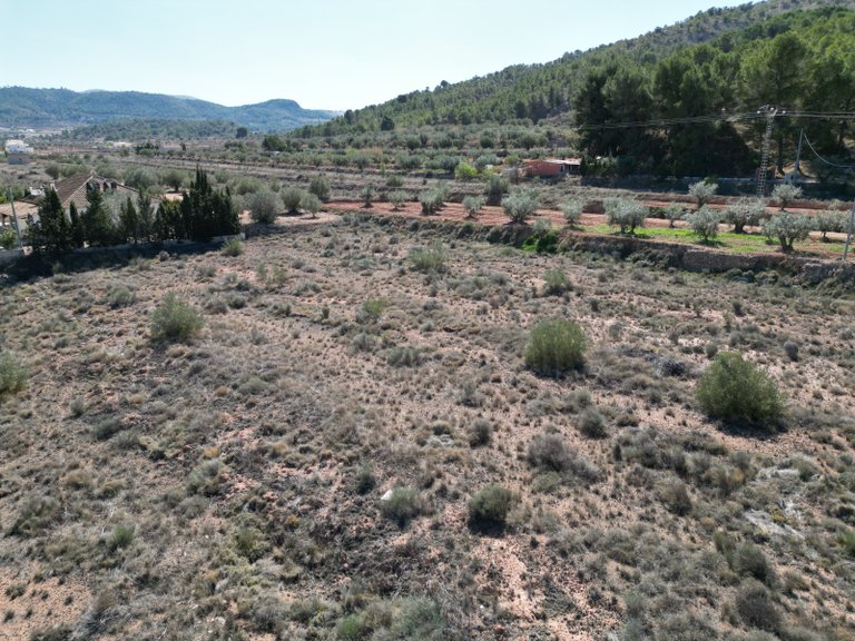 Plot for Sale in Pinoso, Alicante 4