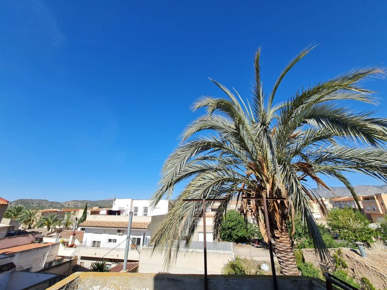 Town House for Sale in Barinas, Murcia 9