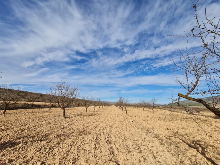 Plot for Sale in Raspay, Murcia 8