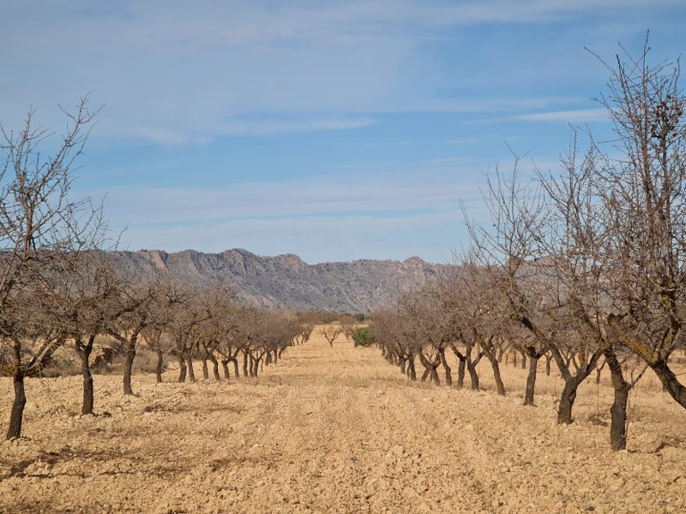 Plot for Sale in Raspay, Murcia 1