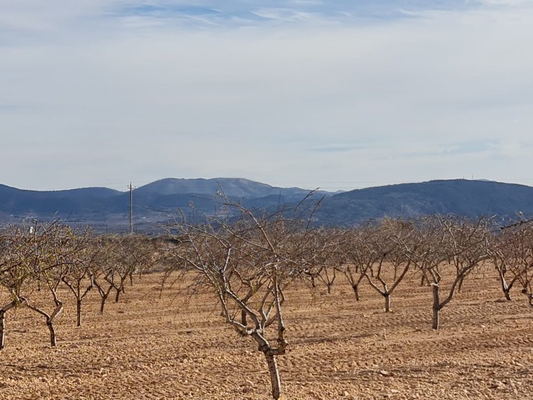 Plot for Sale in Raspay, Murcia 2