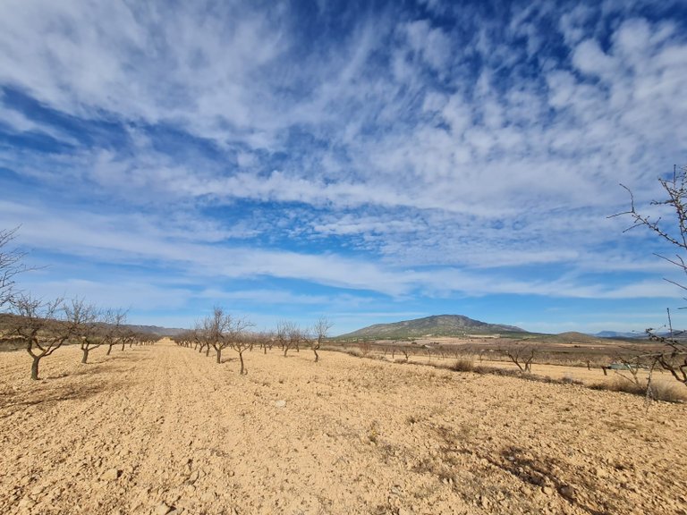 Plot for Sale in Raspay, Murcia 7