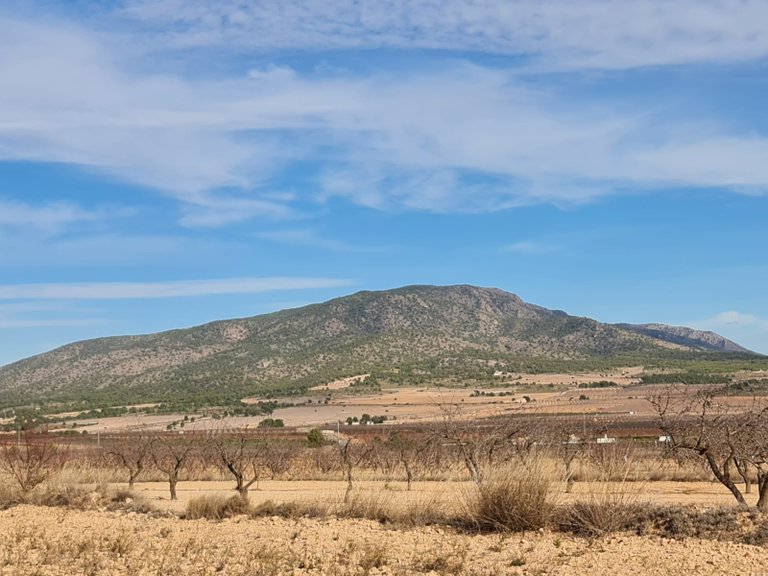 Plot for Sale in Raspay, Murcia 6