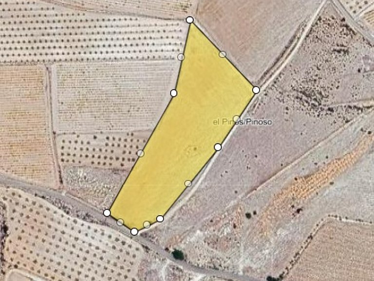 Plot for Sale in Pinoso, Alicante 1