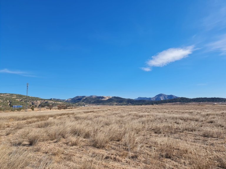 Plot for Sale in Pinoso, Alicante 1