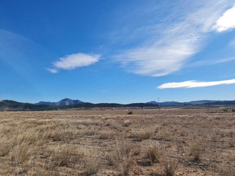 Plot for Sale in Pinoso, Alicante 2