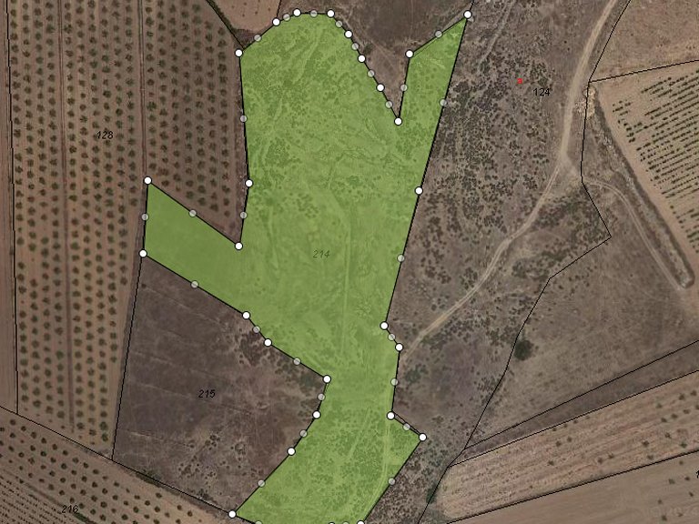Plot for Sale in Pinoso, Alicante 1