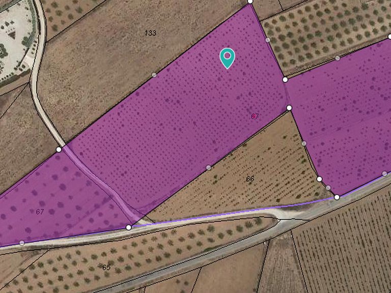 Plot for Sale in Pinoso, Alicante 1