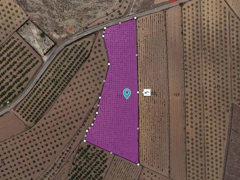 Plot for Sale in Pinoso, Alicante 7