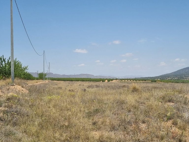 Plot for Sale in Yecla, Murcia 2