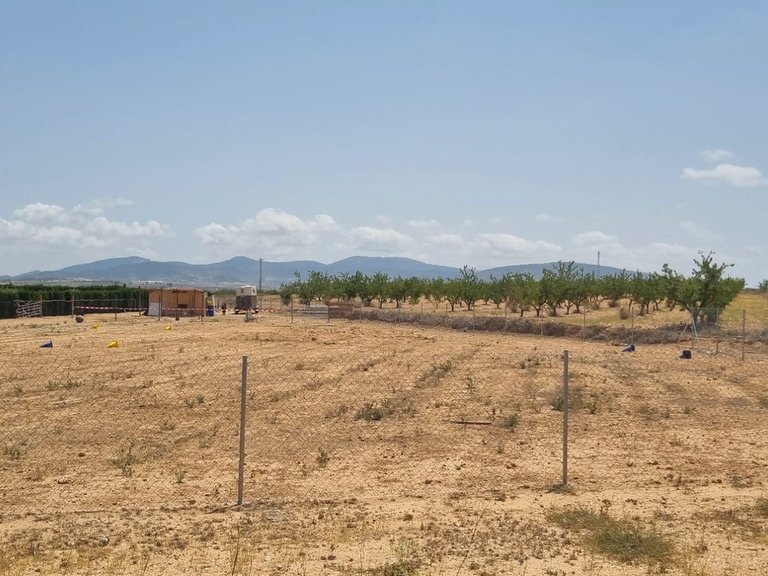 Plot for Sale in Yecla, Murcia 3