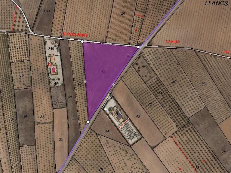 Plot for Sale in Yecla, Murcia 7