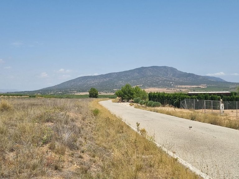 Plot for Sale in Yecla, Murcia 6