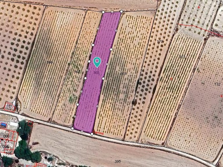Plot for Sale in Pinoso, Alicante 9