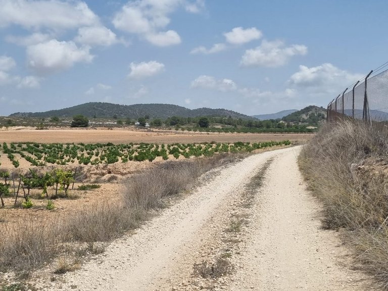 Plot for Sale in Pinoso, Alicante 5