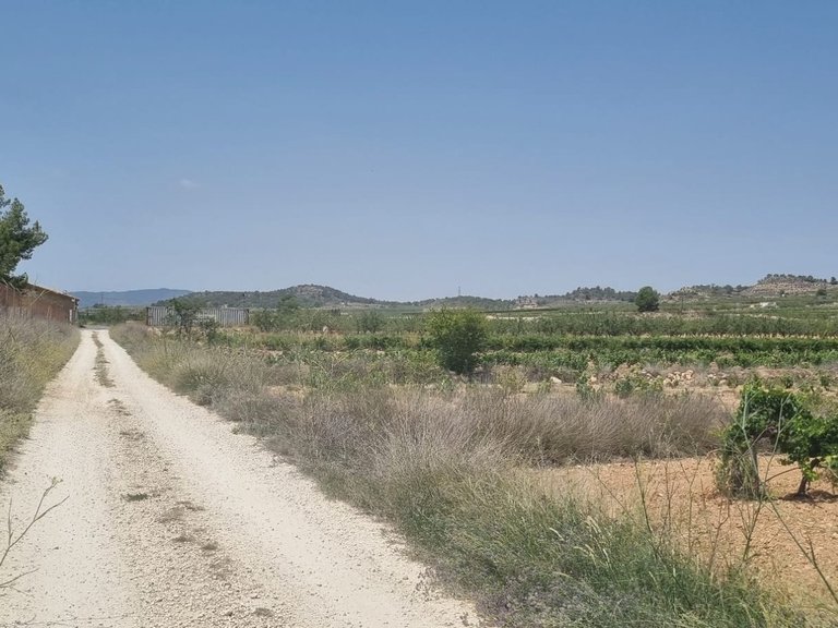 Plot for Sale in Pinoso, Alicante 1