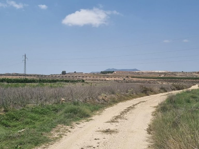 Plot for Sale in Pinoso, Alicante 2