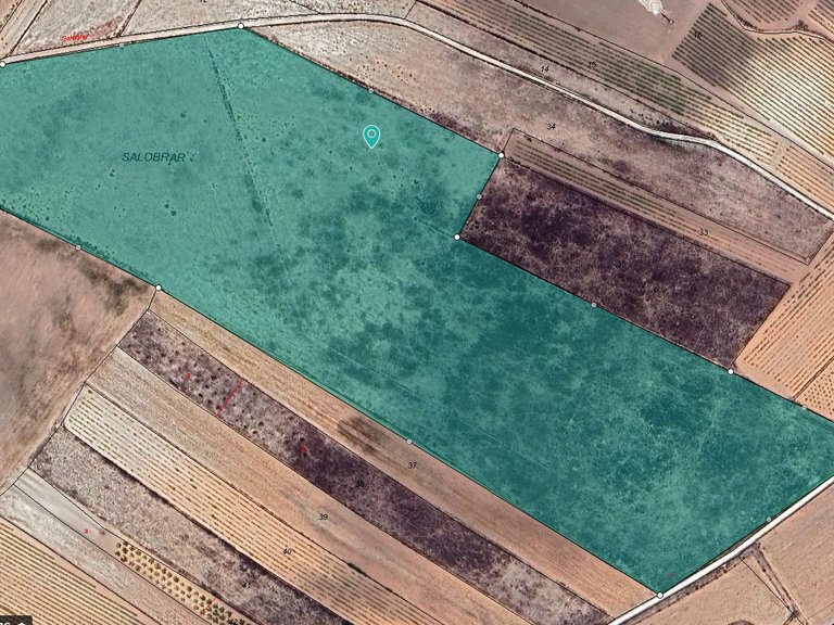 Plot for Sale in Pinoso, Alicante 7