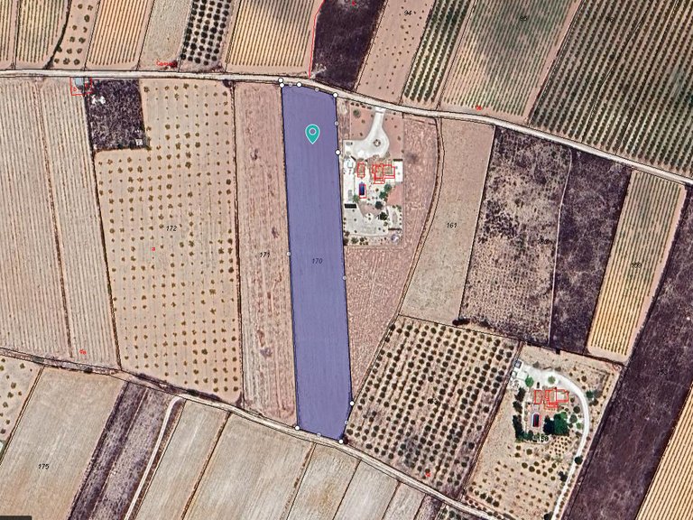 Plot for Sale in Pinoso, Alicante 6