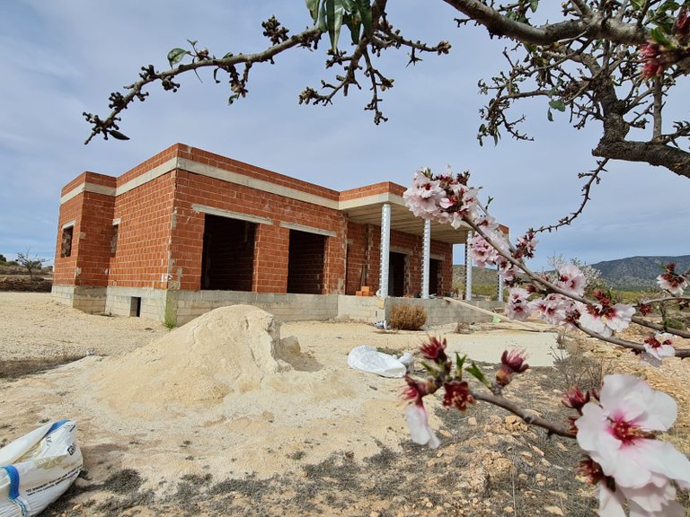 Villa for Sale in Pinoso, Alicante 1