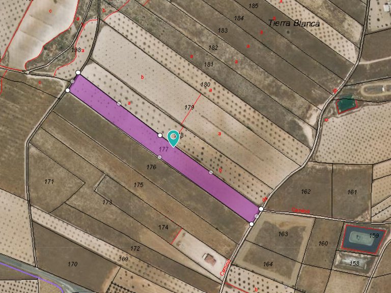 Plot for Sale in Jumilla, Murcia 1