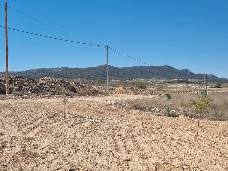 Plot for Sale in Jumilla, Murcia 2
