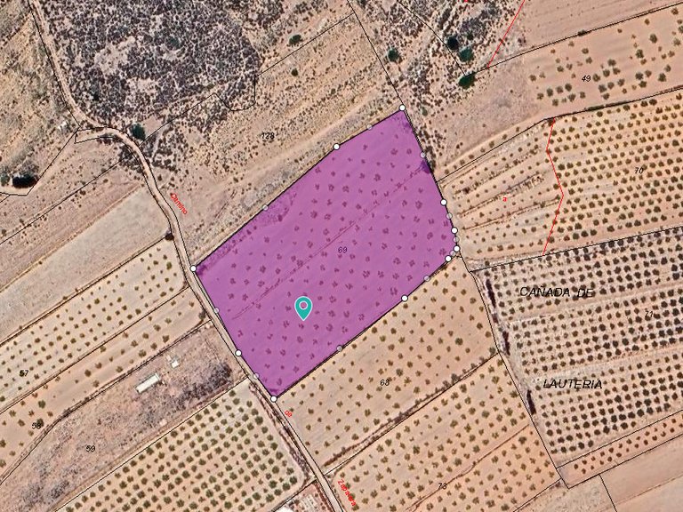 Plot for Sale in Pinoso, Alicante 1