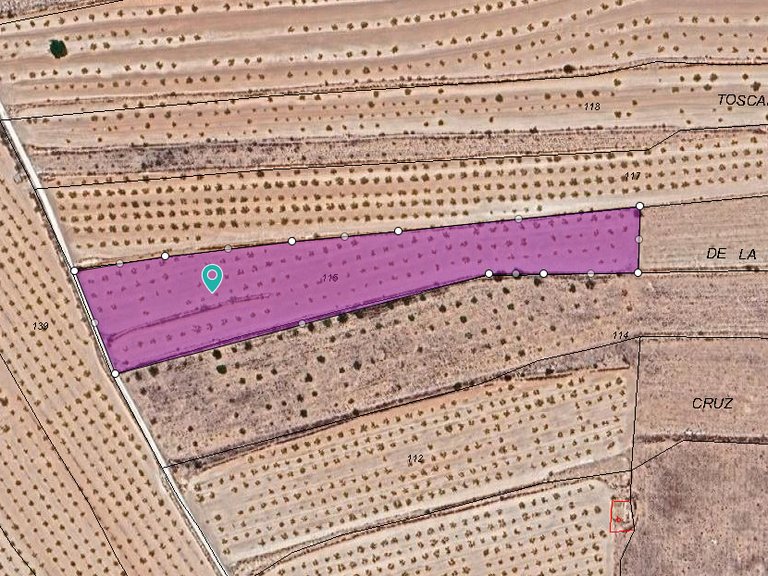 Plot for Sale in Pinoso, Alicante 1