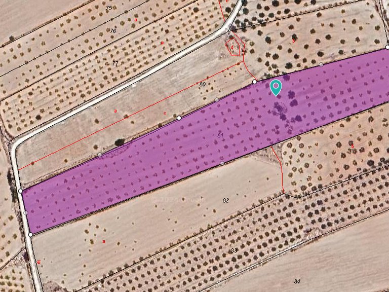 Plot for Sale in Pinoso, Alicante 1