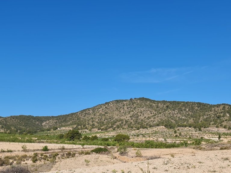 Plot for Sale in Raspay, Murcia 6